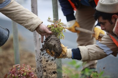 Büyükşehir'den Konyaaltı Sahili'nde Hummalı Çalışma