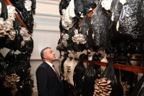 TARıM - KKDP Desteklemeleri Meyvesini Vermeye Devam Ediyor