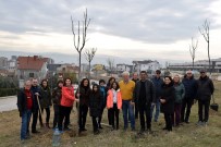 19 MAYıS - Mahalleli Park Alanlarını Kendi Ağaçlandırdı