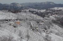 Ordu'da 175 Kırsal Mahalleye Kar Engelli Haberi