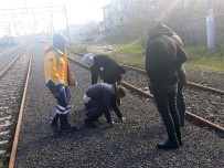 UYUŞTURUCU MADDE - Tren Raylarında Baygın Bulundu