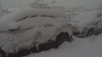 KAR KALINLIĞI - Varto'da Kar Yağışı
