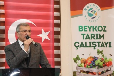 Beykoz'un Tarım Varlığı 'Beykoz Tarım Çalıştayı'nda Ele Alındı