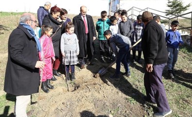 Edirne'de, 21 Okula 300 Hünnap Fidanı Dikilecek