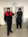 İTFAİYECİLER - Veteriner Kliniği Çıkışı Sahibinden Kaçarak Panoya Saklanan Ev Kedisini İtfaiye Kurtardı