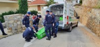 LEMAN - Antalya'da 1'İ Doktor 2 Kişinin Cesedi Bulundu