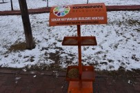 Kocasinan Belediyesi, Sokak Ve Yaban Hayvanlarını Unutmadı