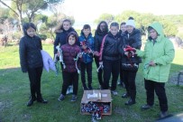 OKUL MÜDÜRÜ - Sokak Hayvanları İçin Kullanmadıkları Giyim Eşyalarından Oyuncak Yaptılar