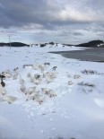 SÜLEYMANLı - Buz Tutan Gölde Kartpostallık Görüntüler Oluştu