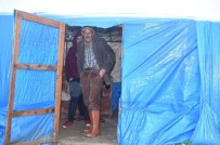 YEŞILTEPE - Çadırda Yaşayan Tarım İşçileri Tahliye Edildi