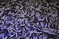 Hamsi Gürcistan'dan Geldi, Fiyatı 10 TL'ye Düştü