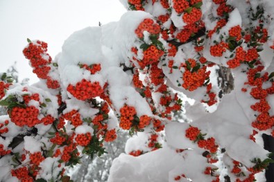 Kar, Simav'da Güzel Manzaralar Oluştu