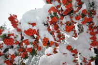 TAŞIMALI EĞİTİM - Kar, Simav'da Güzel Manzaralar Oluştu