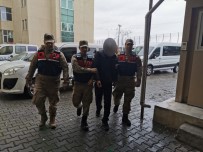 NITELIK - Suç Makinesi Jandarmanın Dikkati Sayesinde Yakalandı