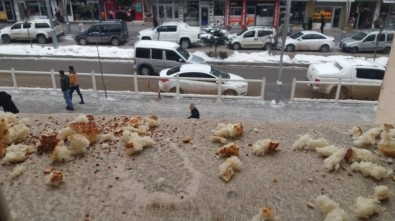 Belediye Çalışanları Kuşlar İçin Yiyecek Bıraktı