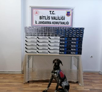 Bitlis'te 5 Bin 150 Paket Kaçak Sigara Ele Geçirildi
