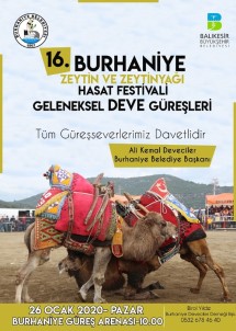 Burhaniye Zeytin Ve Zeytinyağı Festivaline Hazırlanıyor