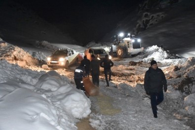 Hakkari'de Dağlık Alanda Mahsur Kalan Atlar Kurtarıldı