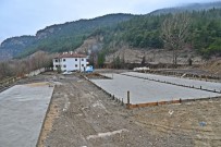 REHABILITASYON - Karabük Modern Hayvan Barınağına Kavuşacak