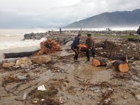Sel Sularıyla Taşınan Odunları Topladılar Haberi
