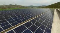 2019 Yılında 9 Bin 46 Çiftçiye Enerji Desteği Sağlandı