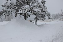 ABANT - Abant'ta Kar Kalınlığı 1 Metreyi Buldu