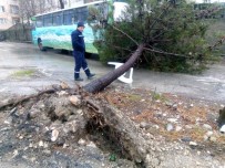 Bandırma'da Şiddetli Fırtınanın Yaraları Sarılıyor