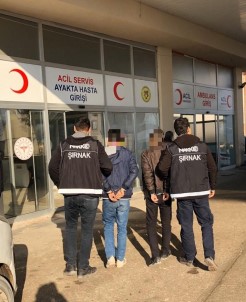 Cizre'de 1 Torbacı Tutuklandı