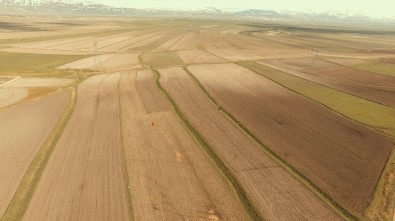 Erzurum, Ağrı Ve Erzincan'da Toplulaştırma Çalışmaları Devam Ediyor