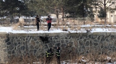 Kars Çayı'nda Mahsur Kalan Köpek Kurtarıldı
