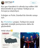 RUSYA DEVLET BAŞKANı - Şamil Tayyar'dan Türk Akımı Yorumu