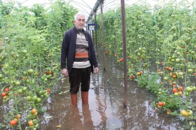 Sel Mersin'de Tarım Arazilerini Vurdu