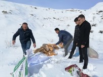 ÜLKÜ OCAKLARı - Ahlat'ta Yaban Hayvanları İçin Doğaya Yem Bırakıldı