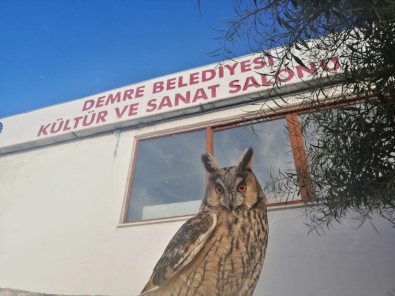 Antalya'da Nesli Tükenmek Üzere Olan 'Puhu Baykuşu' Bulundu