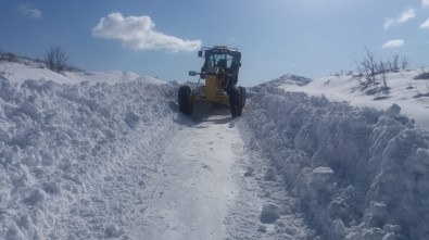 Bingöl'de kar 28 köy yolunu kapattı