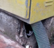 İMAM HATİP ORTAOKULU - Elektrik Trafosuna Sıkışan Kedi Kurtarıldı