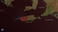 YILDIRIM DÜŞMESİ - Kanguru Adası'nın üçte biri yandı