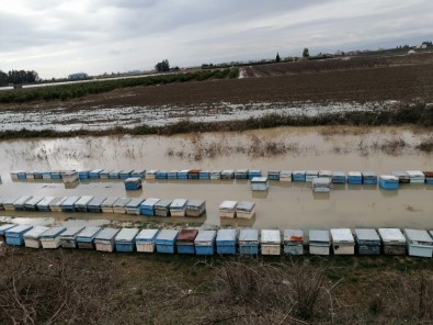 Mersin'de 15 Bin Arı Kovanı Sular Altında Kaldı