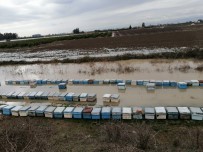 KADİR SERTEL OTCU - Mersin'de 15 Bin Arı Kovanı Sular Altında Kaldı