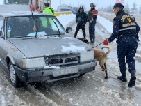 KIŞ LASTİĞİ - (Özel) Jandarma Trafik Ekiplerinden Köpekli Trafik Uygulaması