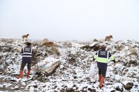 ORMAN BAKANLIĞI - Sahipsiz Hayvanlara Düzenli Olarak Yiyecek Bırakılıyor