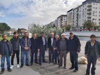 BİRİNCİ SINIF - Şehzadeler Ziraat Odasından Üreticiye 35 Bin Zeytin Fidanı