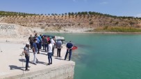 Atatürk Baraj Gölü'ne 300 Bin Balık Yavrusu Bırakıldı Haberi