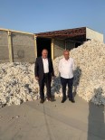 Diyarbakır'da 'Beyaz Altın' Hasadına Başlandı Haberi