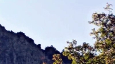 Madra Dağı'nda Mahsur Kalan 7 Keçiyi İtfaiye Kurtardı