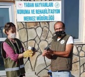 Yaralı Kuşlar Tedavi Altına Alındı