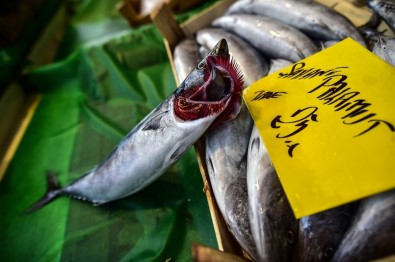 Balık fiyatı yüzde 19,8 düştü