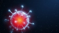 RECEP ÖZTÜRK - Bilim Kurulu üyesi Prof. Dr. Recep Öztürk'ten tedirgin eden koronavirüs açıklaması