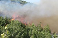 Hatay'daki Orman Yangınına Müdahale Sürüyor Haberi