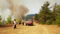 Kahramanmaraş'ta 4 Ayrı Noktada Yangın Çıktı